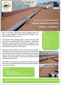 Strand Shopping Centre Case Study